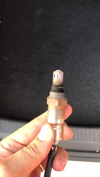 WhatsApp Image 2018-10-02 at 22.30.55.jpeg